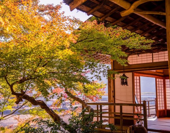 大洲市 自由行套票