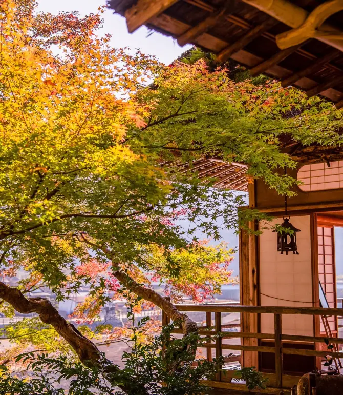 大洲市