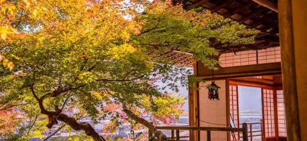 Hotels in Ozu
