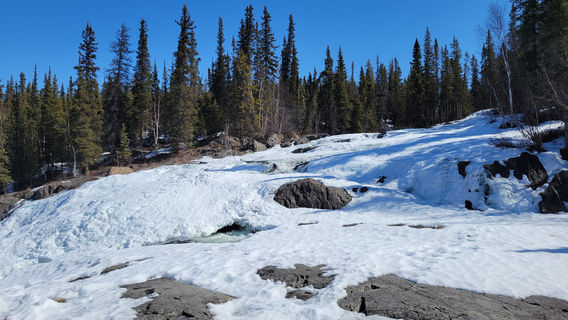 Cameron Falls Trail