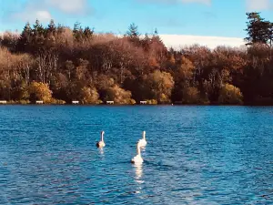 Loughgall Country Park