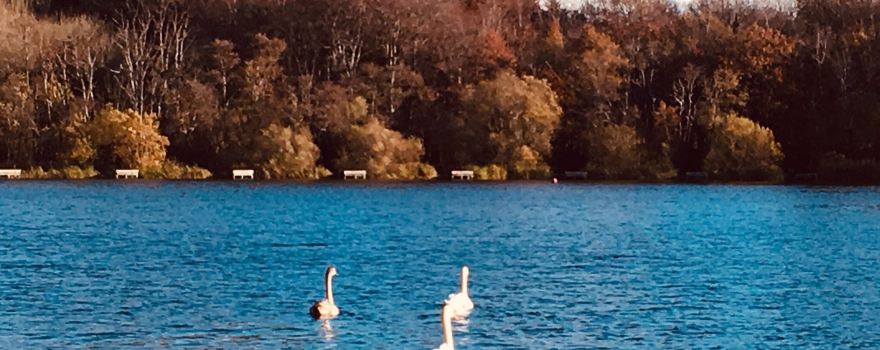 Loughgall Country Park