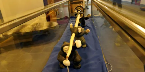 努勒維特立法會