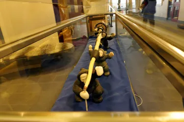 Legislative Assembly of Nunavut