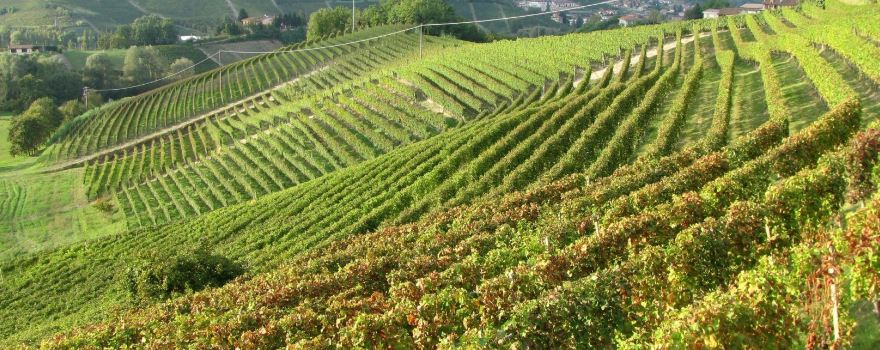Antica Cascina Dei Conti Di Roero