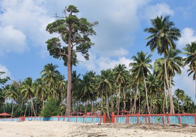 Wandoor Beach