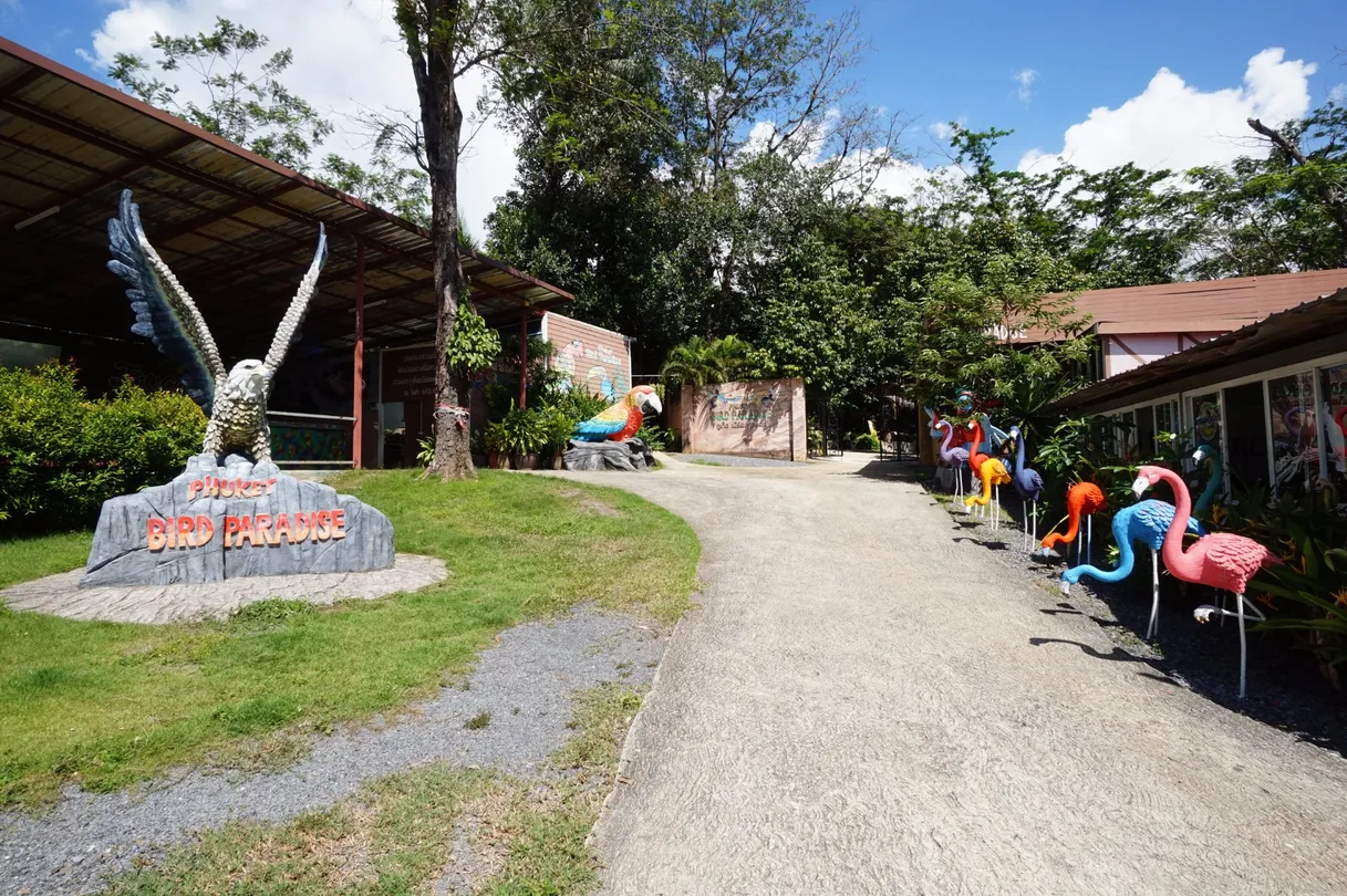 3_Phuket Bird Paradise