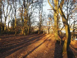 Ashby Ville Nature Reserve