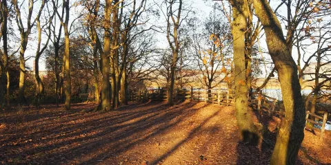 Ashby Ville Nature Reserve