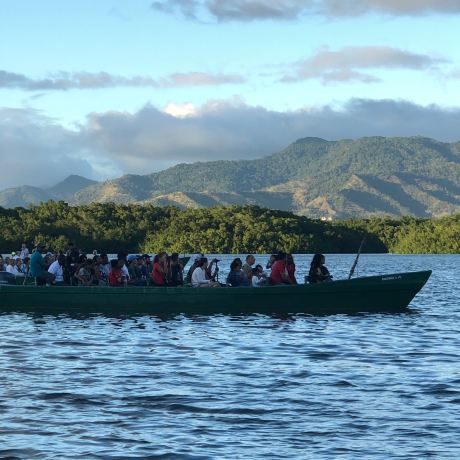 Caroni Swamp