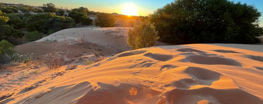 Perry Sandhills