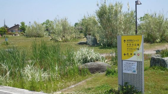 Tsukimigaoka Seaside Park