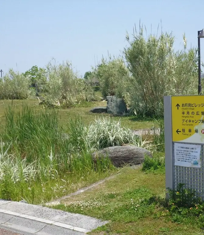 Matsushige