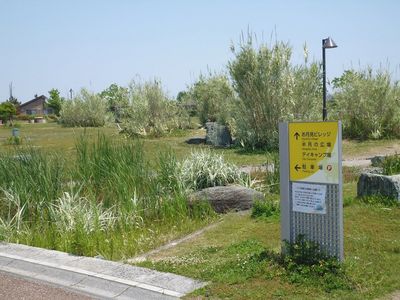 Tsukimigaoka Seaside Park