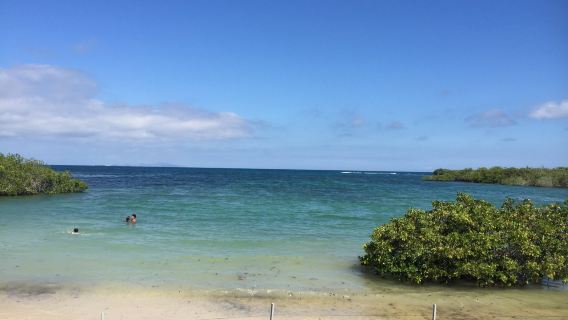 Playa de los Alemanes