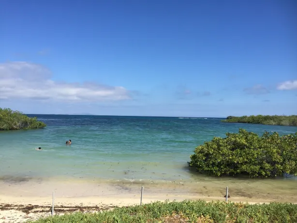 Playa los alemanes