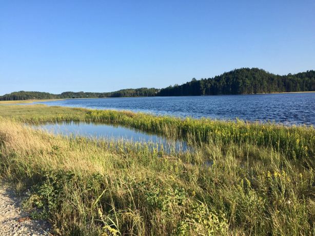 Middle River Park