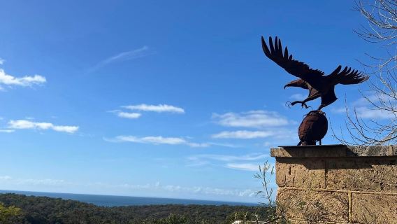 Wise Wine Cellar Door | Eagle Bay