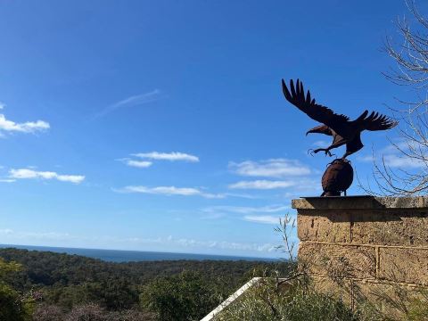 Wise Wine Cellar Door | Eagle Bay