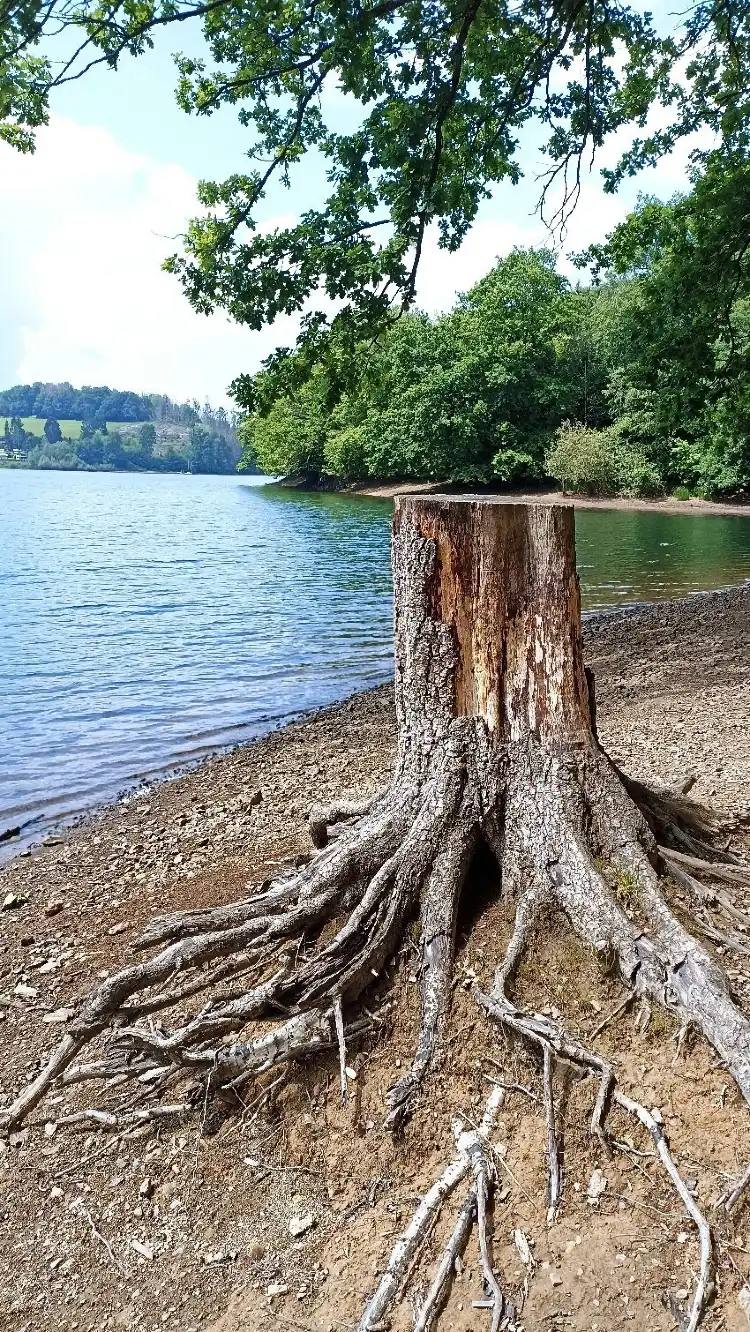 فنادق في Marienheide