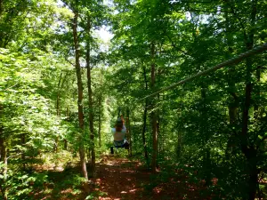 Eco Adventure Ziplines