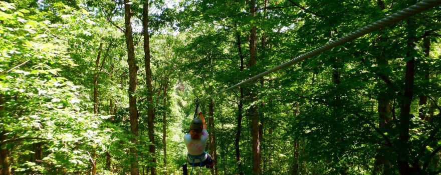 Eco Adventure Ziplines