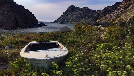Spiaggia di Cala Fico