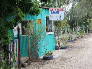Cueva de Chicho