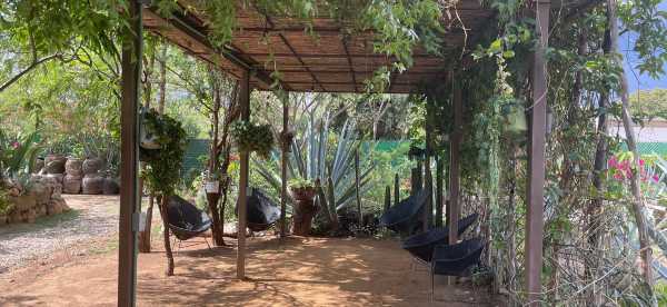 Familienfreundlich-Hotels in Oaxaca, Mexiko