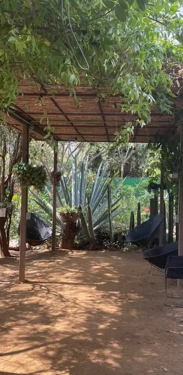 Hotel Dengan Wifi di Oaxaca, Mexico