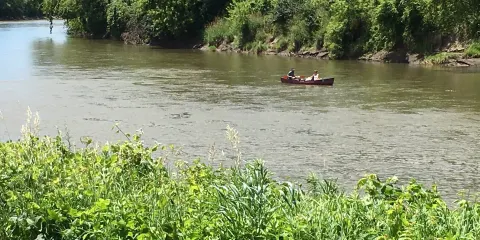 Walnut Woods State Park