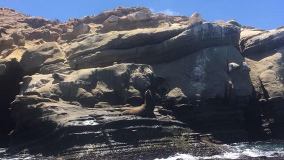 La Jolla