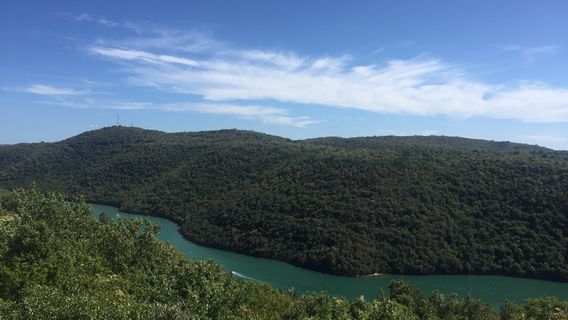 Sveti Lovrec