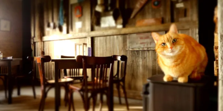 Juttersmuseum Callantsoog