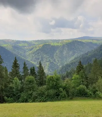 コムナ・マリシェル