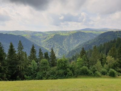 Ţâcla Gavrii