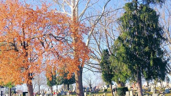 Winchester
