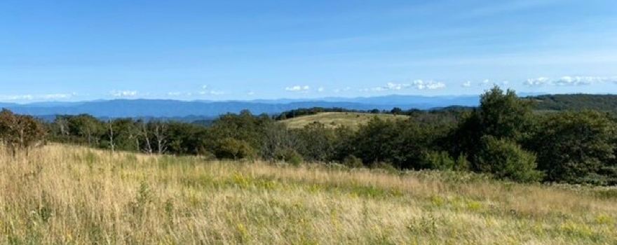 Huckleberry Knob