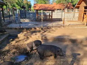 Zoo vrt Kladovo