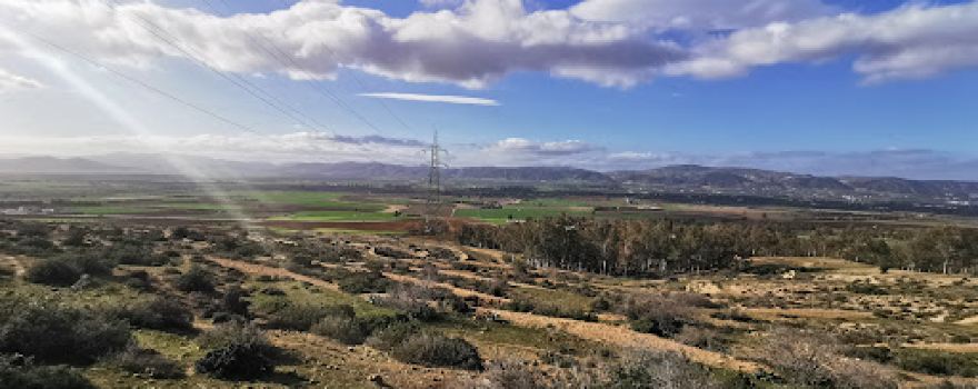 Green Ranch