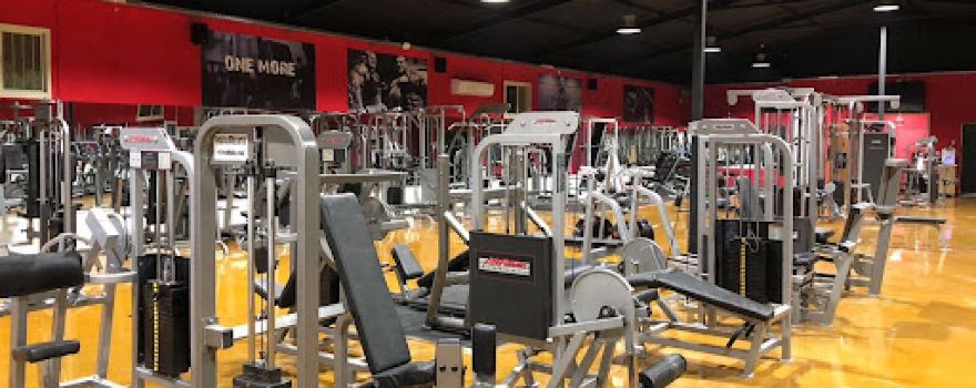 Fitness body gym