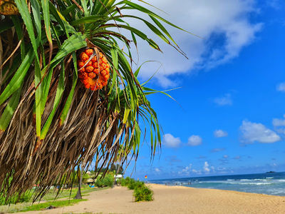 Nilaveli Main Beach