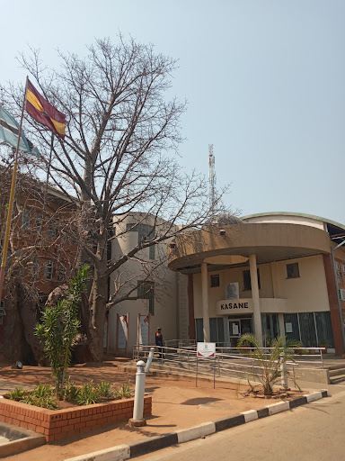 Police Station - Baobab Tree