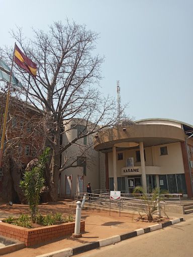 Police Station - Baobab Tree