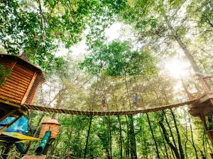 Tree Adventure
