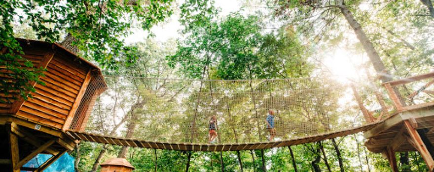 Tree Adventure
