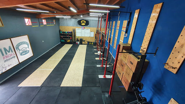 CIAF Training Box
