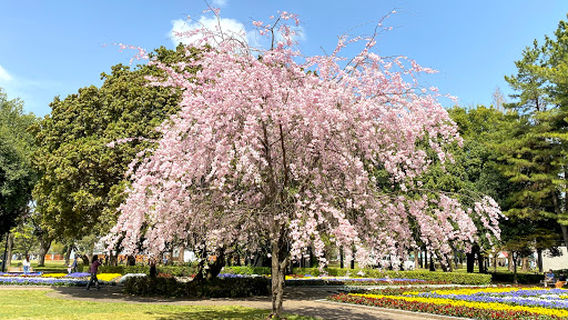 Kakamigahara City Park