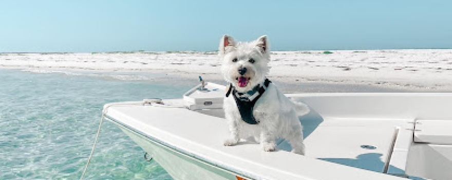 Anna Maria Island Adventures Boat Tours
