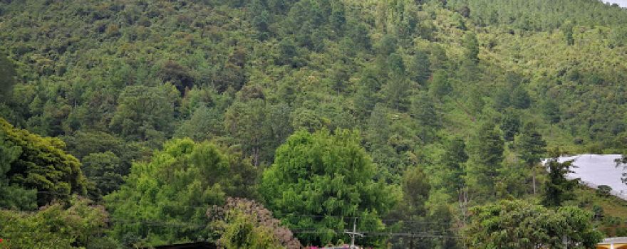 ECO CENTRO CHAMCHE